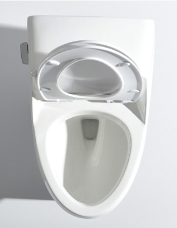 Latin America WC Bathroom Inodoro banos sanitario One-Piece Elongated  Toilet ORTONBATH™ Dual-Flush 3.3/4.8L PER FLUSH OTC1638 - Orton Baths