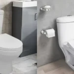 one piece vs two piece toilets